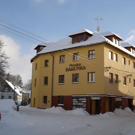 Penzion Barunka Vysoke nad Jizerou Exterior photo